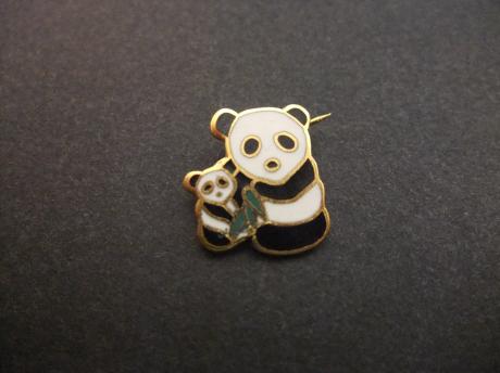 Pandabeer met jonge Panda